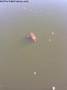 Epcot - Walt Disney World