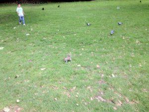 Après-midi à Londres