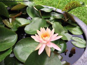 Hôtel Sukhothai - Bangkok