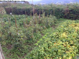 Saint Sébastien - Notre 47eme croisière Atlantis (à bord du Celebrity Constellation)