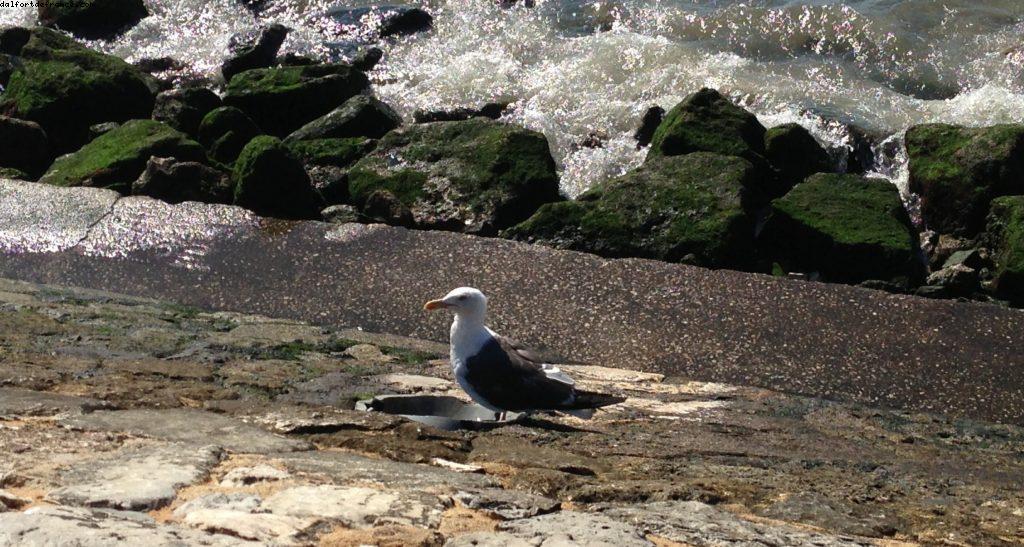 Lisbonne - Notre 47eme croisière Atlantis (à bord du Celebrity Constellation)