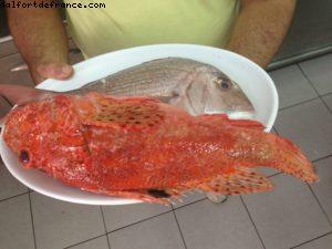 Sunset Taverna - Our 46th Atlantis cruise (Celebrity Silhouhette)