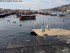 Naples - Our 46th Atlantis cruise (Celebrity Silhouhette)