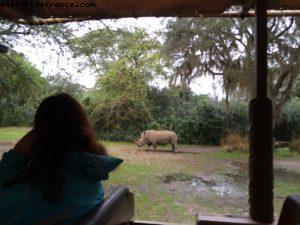 Animal Kingdom - Walt Disney World