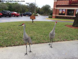 Driving between Fort Lauderdale and Cocoa Beach