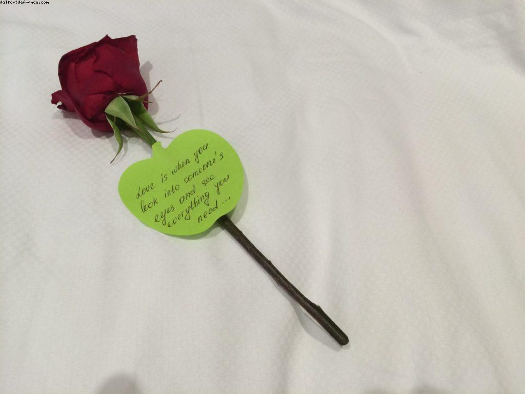 Our 59th Atlantis Cruise (Seabourn Odyssey)