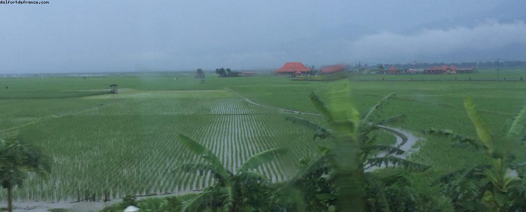 Countryside - Central Java - Our 50th Atlantis cruise (Celebrity Equinox)