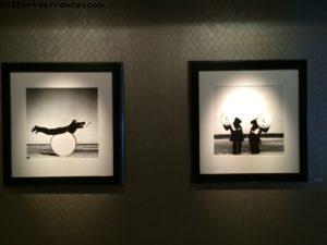 Random pics of the Ship - Our 59th Atlantis Cruise (Seabourn Odyssey)