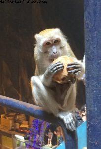 Batu Caves - Kuala Lumpur - Our 50th Atlantis cruise (Celebrity Equinox)