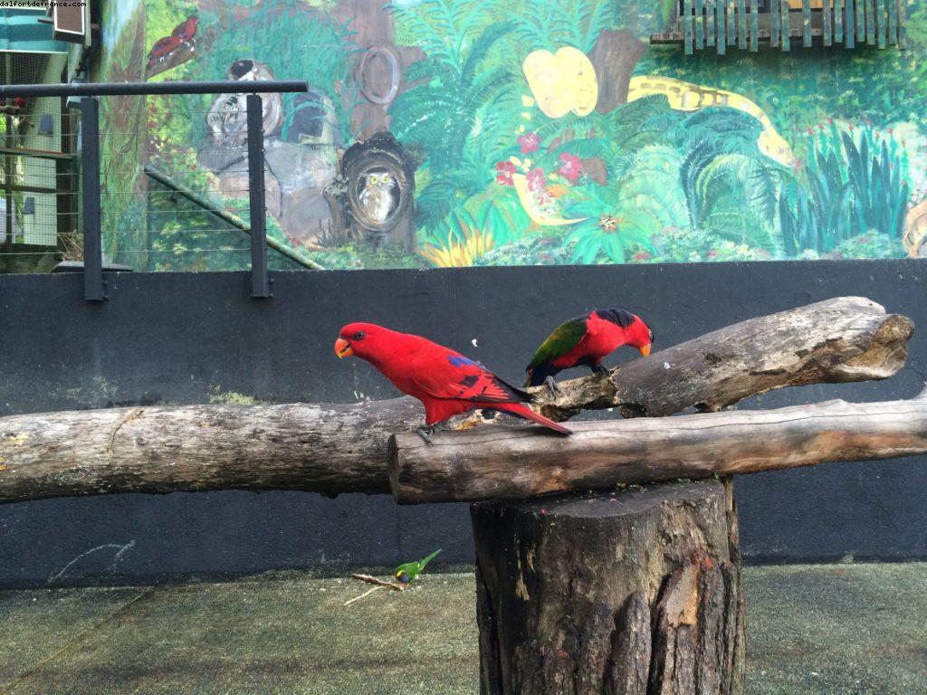 Santosa Island - Singapore - Honeymoon - Asia