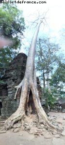Angkor Temples - Siem Reap