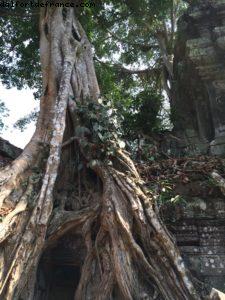 Angkor Temples - Siem Reap