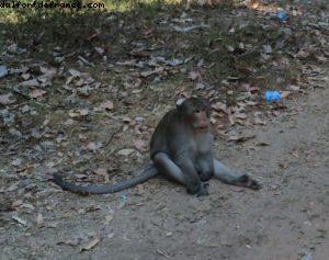 Angkor Temples - Siem Reap