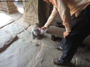 Angkor Temples - Siem Reap