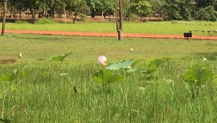 Angkor Temples - Siem Reap