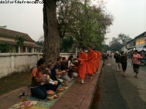 Early moring offerings to the monks - Luang Prabang