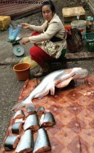 Morning market - Luang Prabang