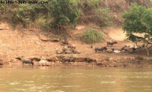 Mekong River cruise to Batu Cave- Luang Prabang