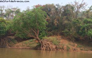 Mekong River cruise to Batu Cave- Luang Prabang
