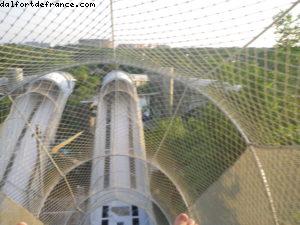 Riptide - Typhoon Lagoon - Walt Disney World