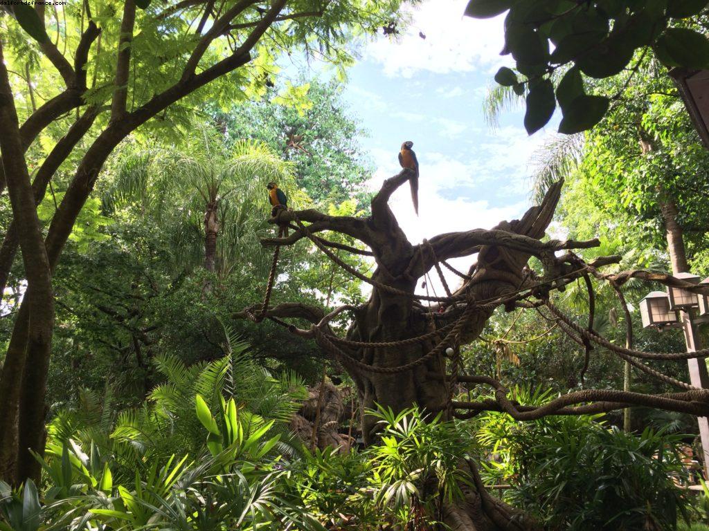 Animal Kingdom - Walt Disney World