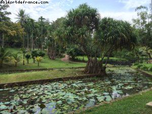 Jardins du lac - Kuala Lumpur