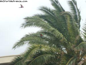 Rue Eric - Cottesloe - Perth