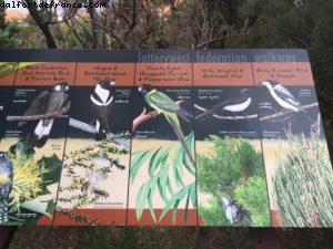 Kings Park et Jardin botanique - Perth