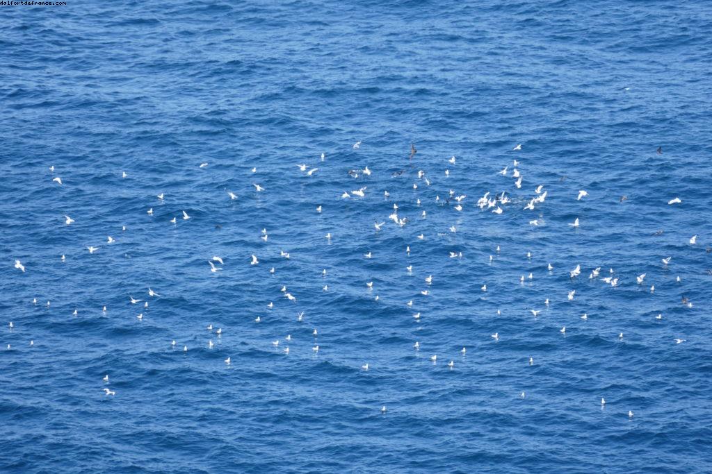 La pointe nord - Sydney