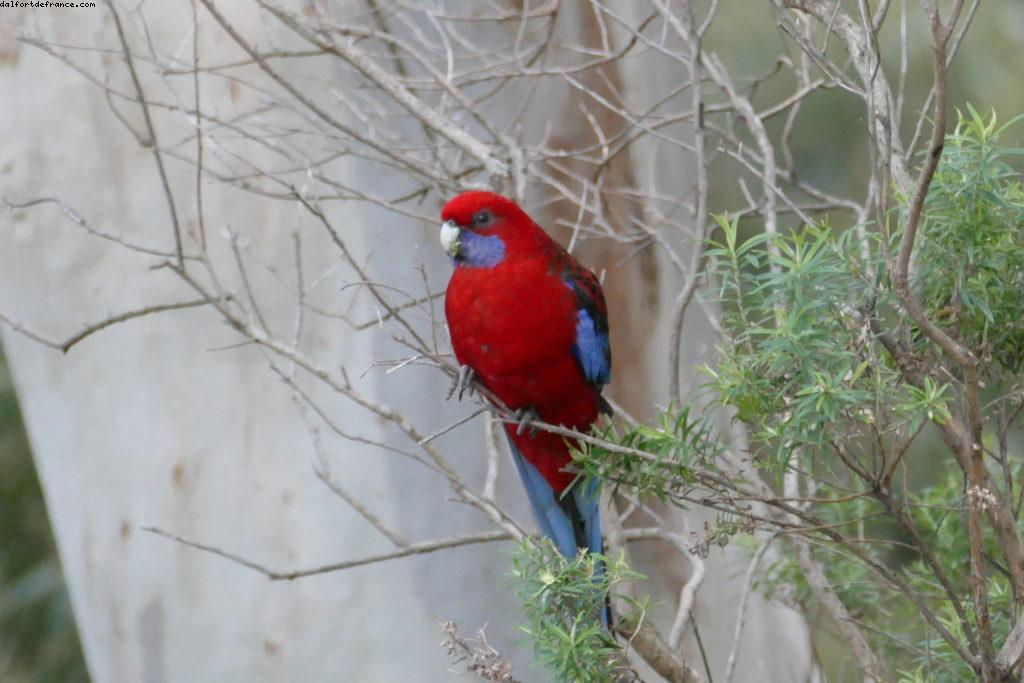 Beacon Point - Appolo Bay - Grat Ocean road - Victoria