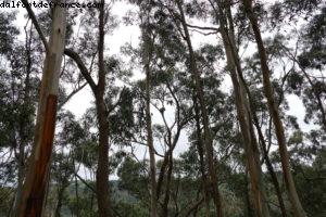Beacon Point - Appolo Bay - Great Ocean road - Victoria