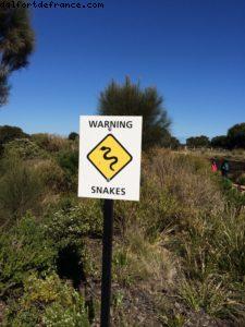 Les 12 apôtres - Great Ocean Road - Victoria