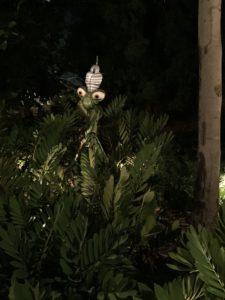 Bug's Land - California Adventure - Disneyland - Los Angeles