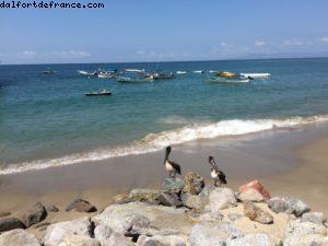 Puerto Vallarta - Notre 51eme croisière Atlantis (à bord du Golden Princess)