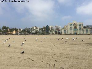 Santa Monica - Los Angeles