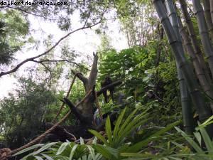 Animal Kingdom - Walt Disney World - Orlando, Florida (November 2014)