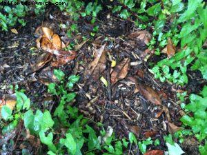 Walt Disney Studios - Disneyland Paris