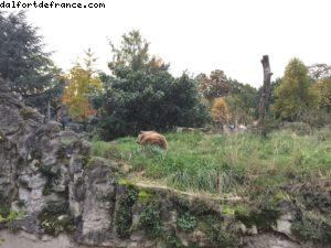 Jardin d'Acclimatation - Paris