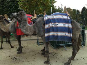 Jardin d'Acclimatation - Paris