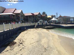 Grand Cayman - Notre 11eme croisière RSVP (à bord du Regal Princess)