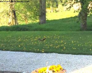 Chateau de Bignicourt sur saulx