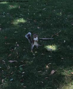 Central Park - Ville de New York