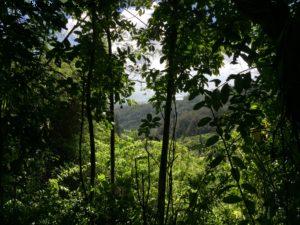 Randonnée - Honolulu