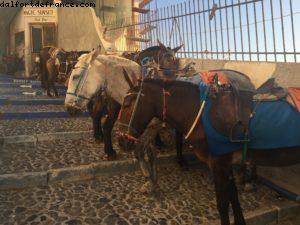 Fira - Notre 53eme croisière Atlantis (à bord du Celebrity Equinoxe)