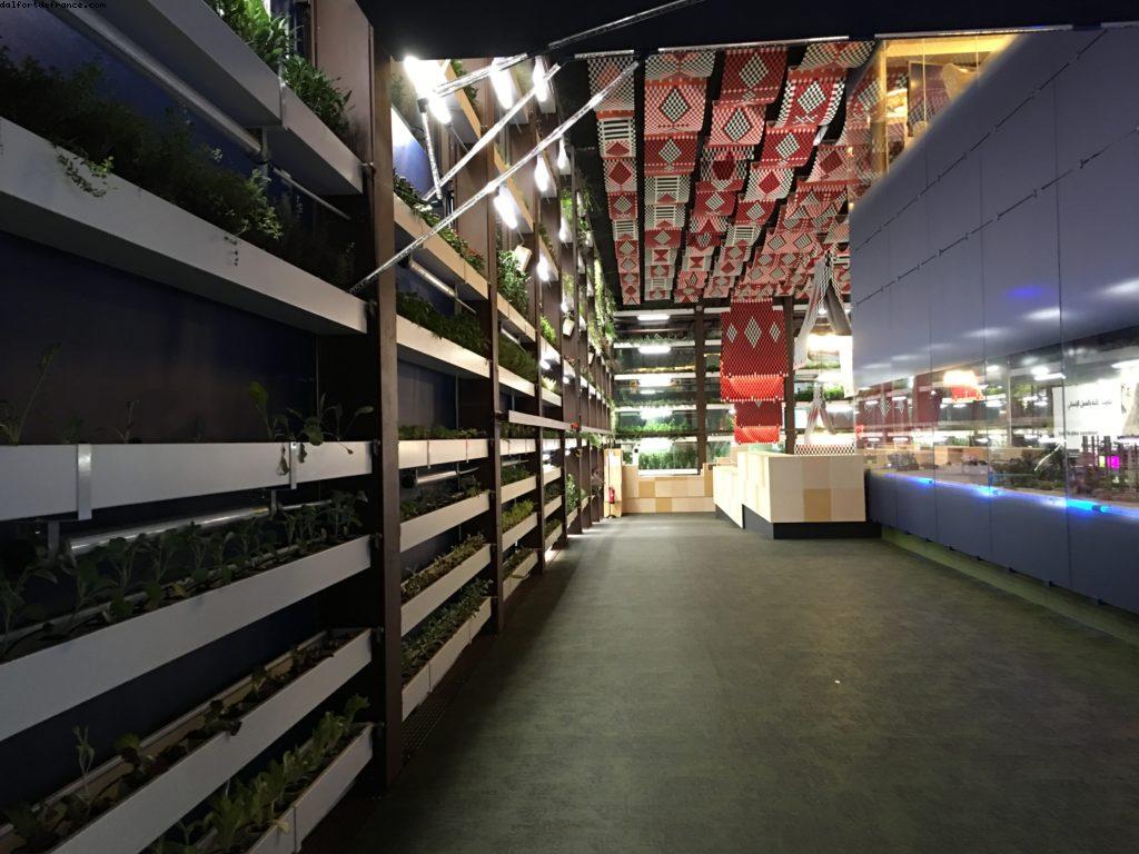 Kuwait (1379) - Expo - Milan