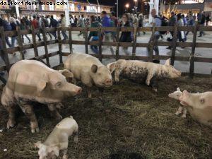 Main Street (1239) - Expo - Milan