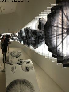 South Korea (1261) - Expo - Milan