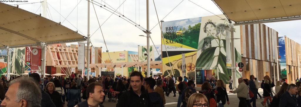 Spices Cluster (1505) - Expo - Milan