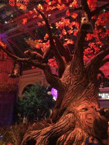 Bellagio - Las Vegas