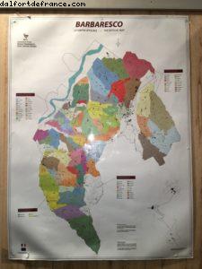 White Truffle Fair - Alba